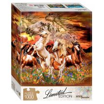 Trouvez 12 Chevaux !