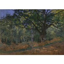 Claude Monet: Fontainebleau, 1865