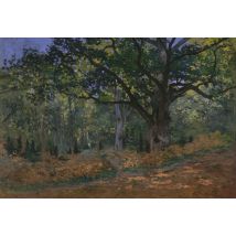 Pièces XXL - Claude Monet: Fontainebleau, 1865