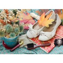 Vintage Dancing Shoes