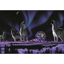 Pièces XXL - Schim Schimmel - Earth Song