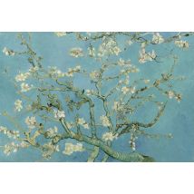 Vincent van Gogh : Amandier en Fleurs, 1890