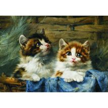 Julius Adam : Deux Chats dans un Panier