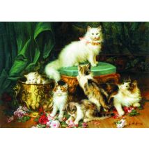 Jules Leroy: Play Time