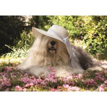 Sophie dans un Lit de Fleurs