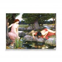 Echo And The Narcissus