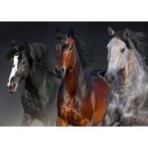 Trois Coeurs Nobles
