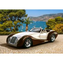 Roadster in Riviera