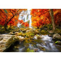 Autumn Waterfall