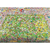 Coupe du monde de folie