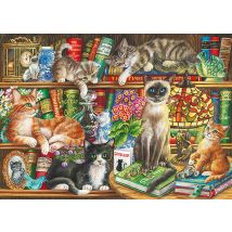 Chats dans la Bibliothèque