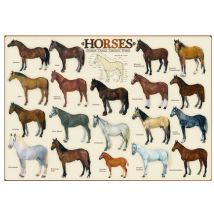 Chevaux
