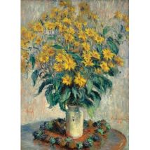 Fleurs de topinambours