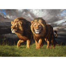 Cobble Hill Tempête Imminente