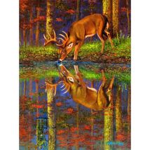 SunsOut Qu'est-ce Qui se Cache en Dessous ?