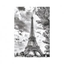 Dino Tour Eiffel Noir et Blanche