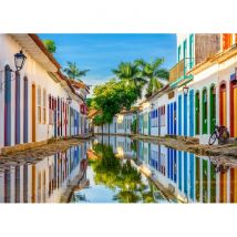 Bluebird Puzzle Rio de Janeiro - Brésil