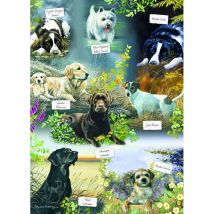 Otter House Puzzle Man's Best Friend