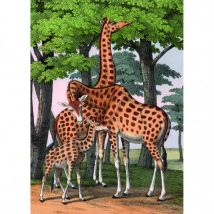 Kiub Girafes