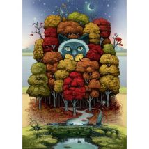 Heye Take a trip - With Andy Kehoe