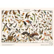 Les Jolies Planches Puzzle Oiseaux