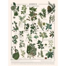 Les Jolies Planches Puzzle Arbres