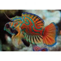Interdruk Nature Colorée - Mandarinfish