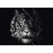 Schmidt Spiele Indompté ? Le Tigre : Sous le Signe de la Liberté