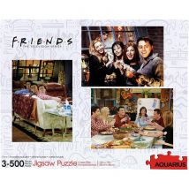 Aquarius 3 Puzzles - Friends