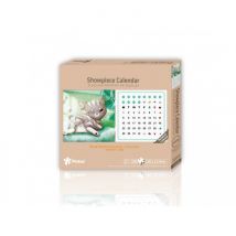 Pintoo Puzzle en Plastique - A Chilly Day