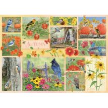 Cobble Hill Garten Vögel im Herbst 500 Teile Puzzle Cobble-Hill-45103