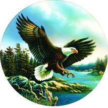 SunsOut Adler-Landung 500 Teile Puzzle Sunsout-28354