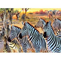 SunsOut XXL Teile - Zebras und Freunde 500 Teile Puzzle Sunsout-70970