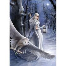 Art Puzzle Anne Stokes - Midnight Messenger 1000 Teile Puzzle Art-Puzzle-5229