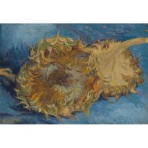 Grafika Kids XXL Teile - Van Gogh: Die Sonnenblumen, 1887 12 Teile Puzzle Grafika-Kids-00432