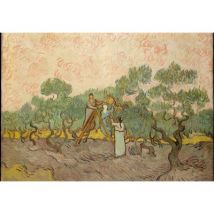 Grafika Kids Van Gogh: Women Picking Olives,1889 12 Teile Puzzle Grafika-F-30936