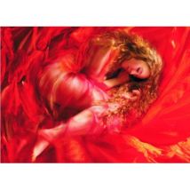 Gold Puzzle Schlafende Schönheit 1000 Teile Puzzle Gold-Puzzle-60102