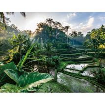 Nathan Im Herzen Balis 2000 Teile Puzzle Nathan-01518