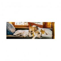 Dino Panorama Puzzle - Gump II 150 Teile Puzzle Dino-39337