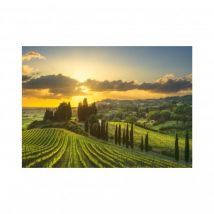 Dino Puzzle XL - Maremma Weinberg 500 Teile Puzzle Dino-51414