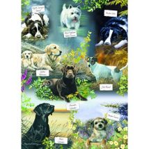 Otter House Puzzle Man's Best Friend 1000 Teile Puzzle Otter-House-Puzzle-75833