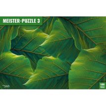 Puls Entertainment MEISTER-PUZZLE 3: Blätter 500 Teile Puzzle Puls-Entertainment-Puzzle-11144