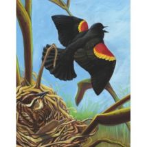New York Puzzle Company Red-winged Blackbird 100 Teile Puzzle New-York-Puzzle-CB1859