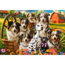 Castorland Happy Dogs In The Countryside 1000 Teile Puzzle Castorland-105410