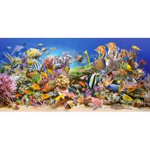 Castorland Unterwasserleben  4000 Teile Puzzle Castorland-400089