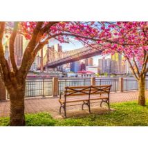 Roovi New York, USA 500 Teile Puzzle Roovi-80677