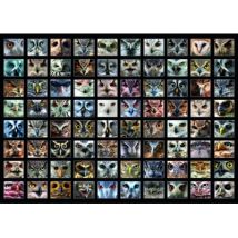 Roovi Collage - Eulen 1000 Teile Puzzle Roovi-74331