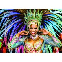 Roovi Rio de Janeiro 1000 Teile Puzzle Roovi-79336