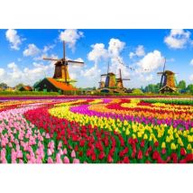 Roovi Dutch Windmills, Netherlands 1000 Teile Puzzle Roovi-79916