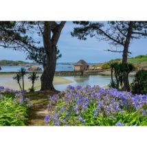 Alipson Puzzle Île de Bréhat 500 Teile Puzzle Alipson-Puzzle-F-50189